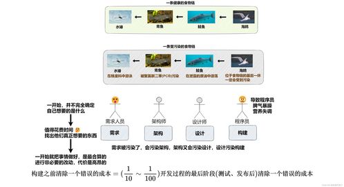 軟件開發(fā)過程中前期準(zhǔn)備的重要性